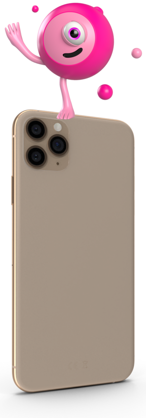 gestión veterinaria